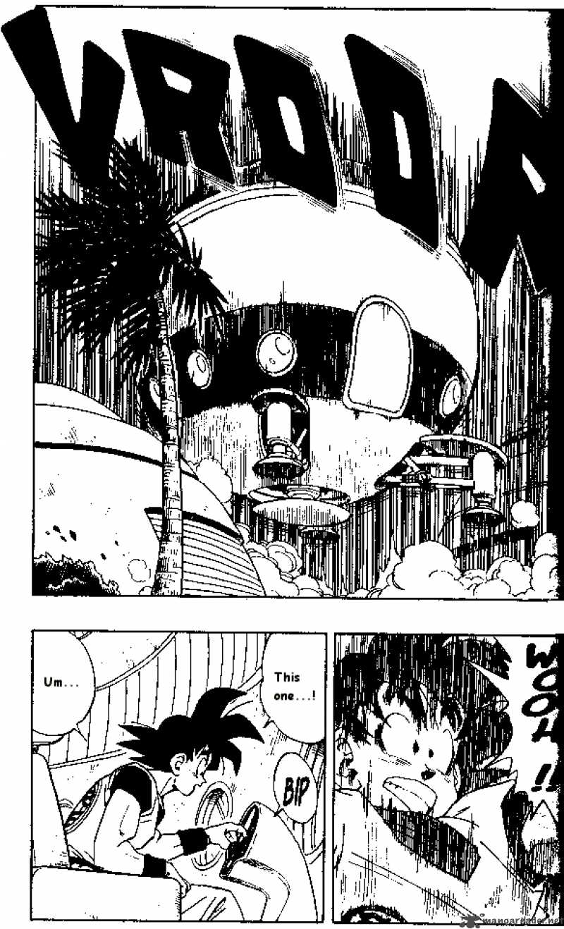Dragon Ball 251 7