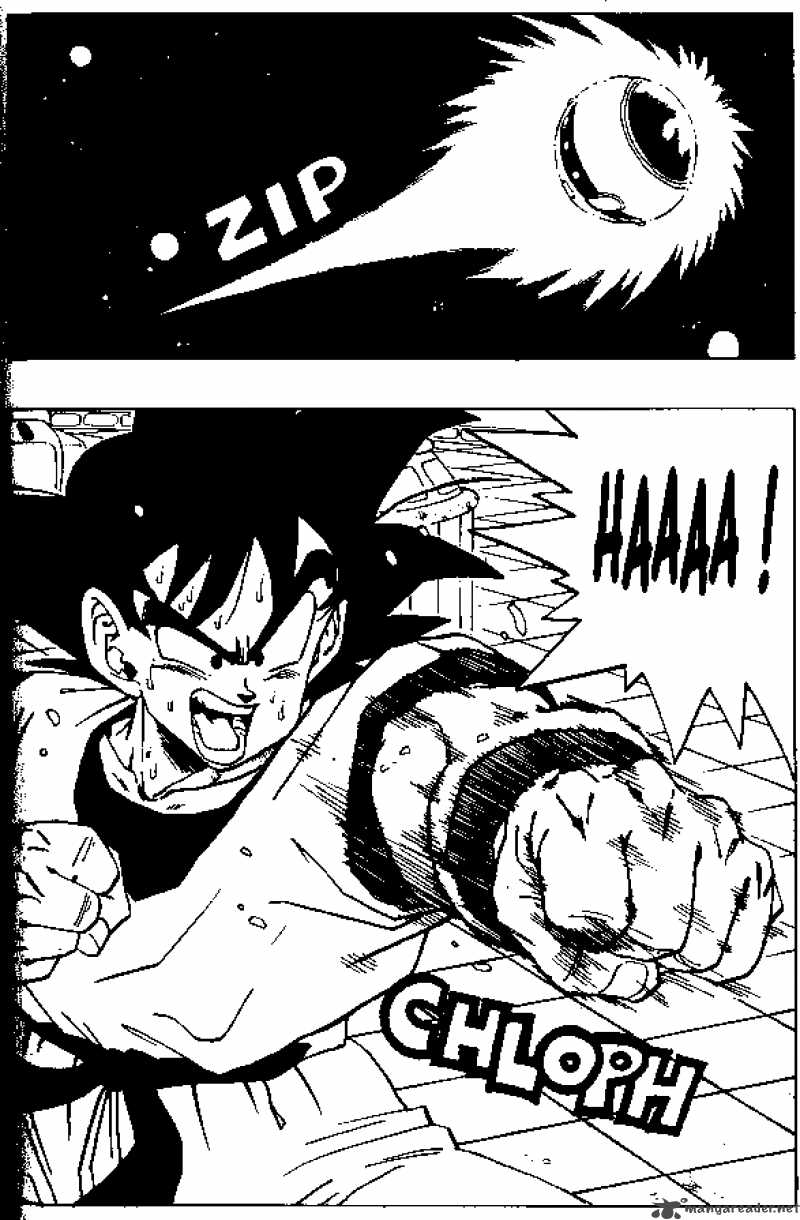 Dragon Ball 258 14