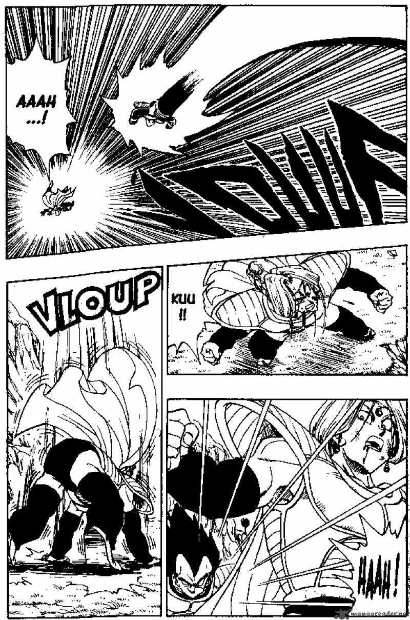 Dragon Ball 262 13
