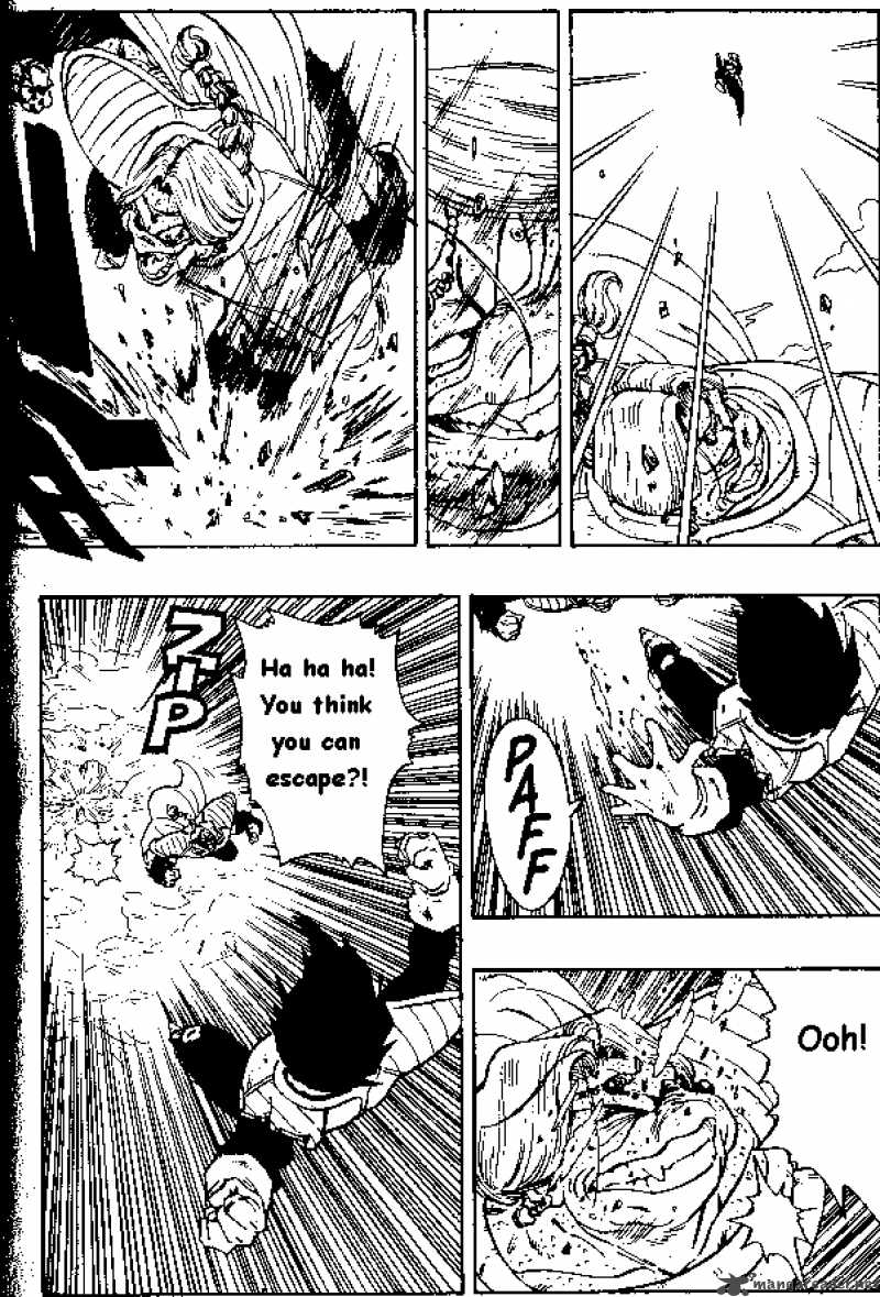 Dragon Ball 267 13