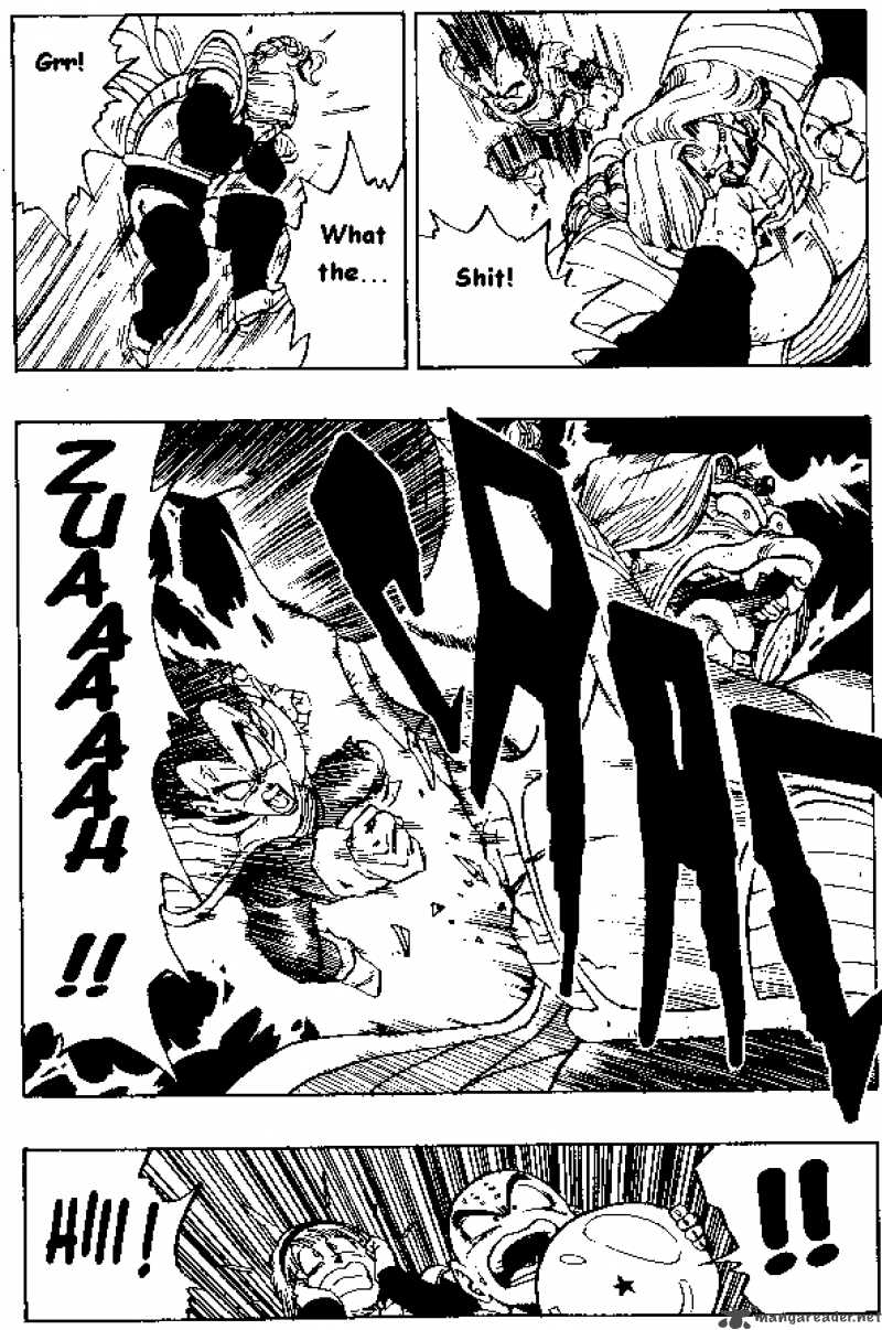 Dragon Ball 267 14