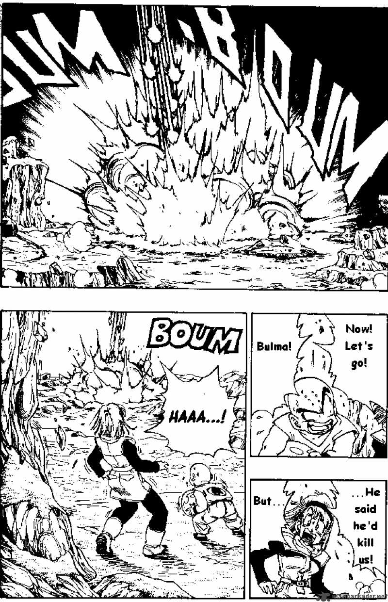 Dragon Ball 268 4
