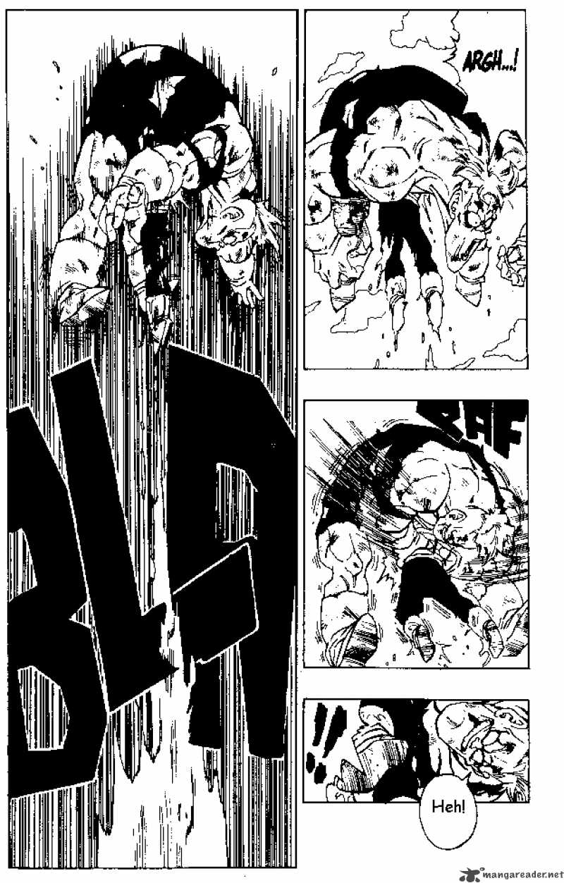 Dragon Ball 276 8