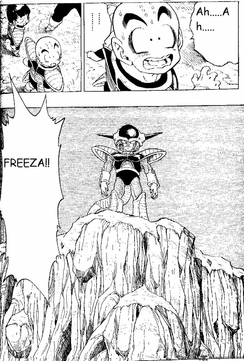 Dragon Ball 294 8