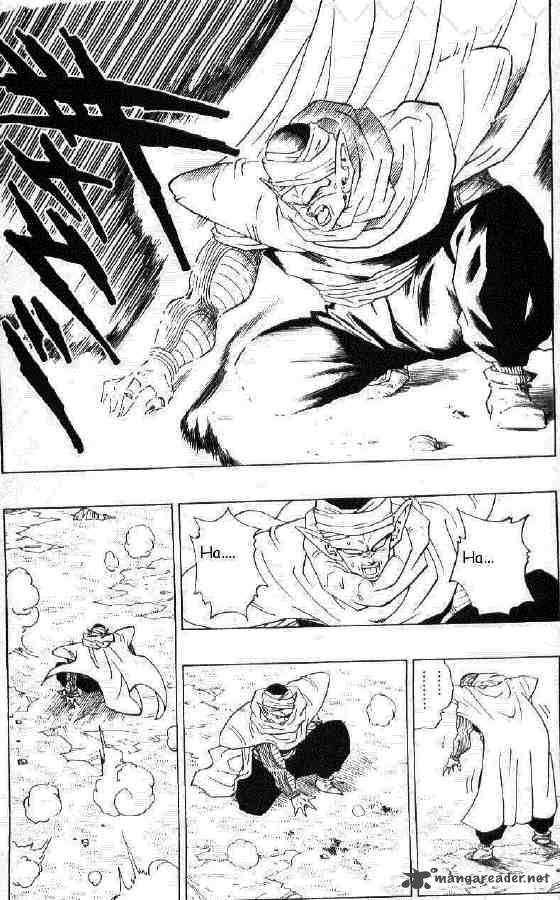 Dragon Ball 295 5