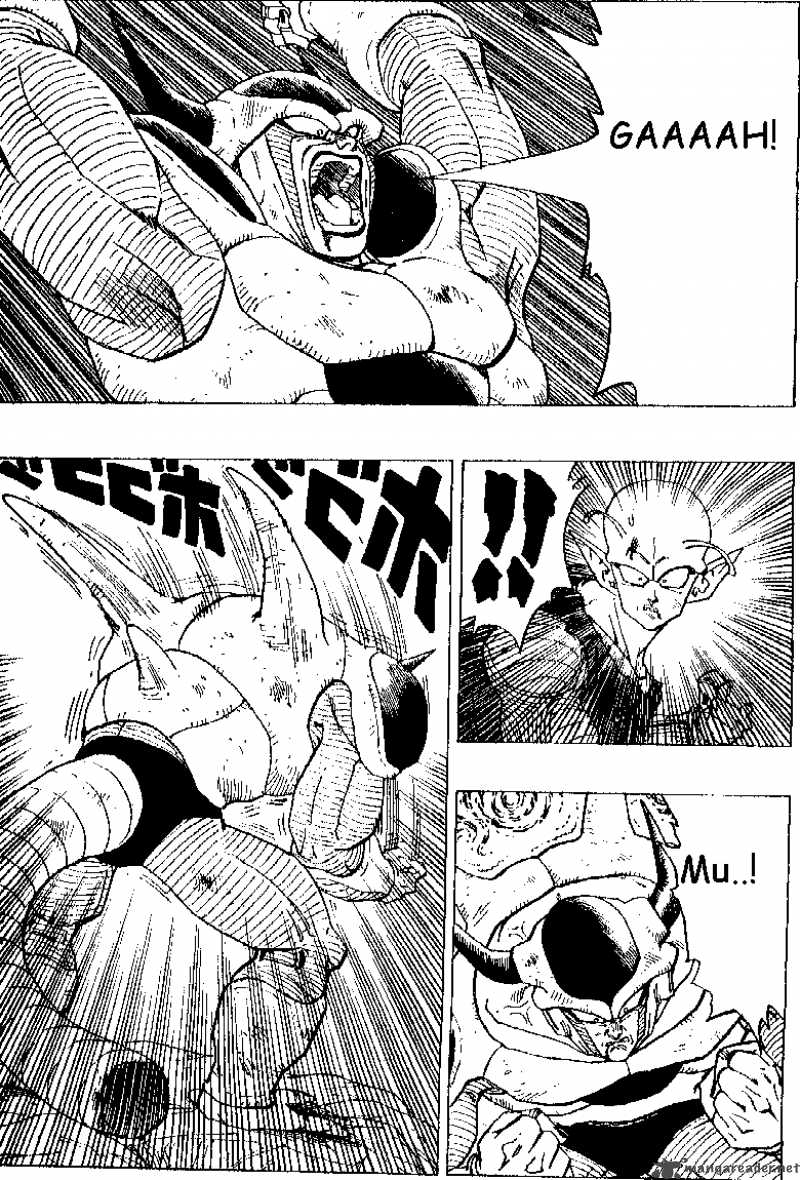 Dragon Ball 302 2