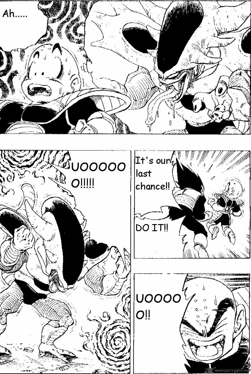 Dragon Ball 303 13