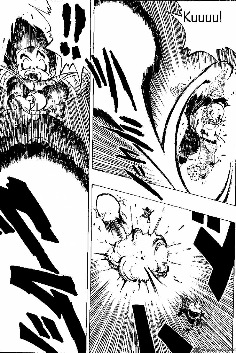 Dragon Ball 303 8