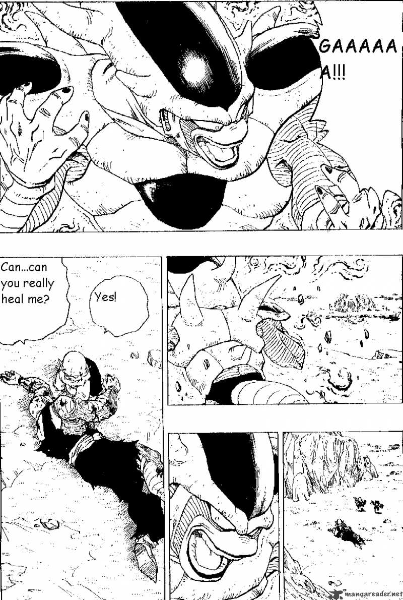 Dragon Ball 304 5