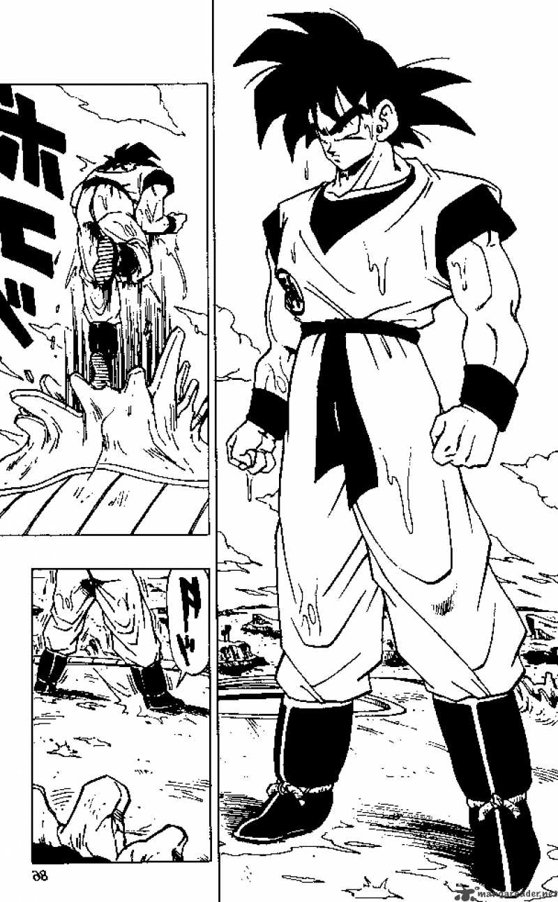 Dragon Ball 306 11