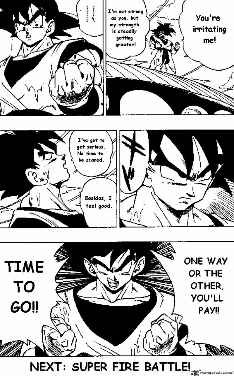 Dragon Ball 306 12