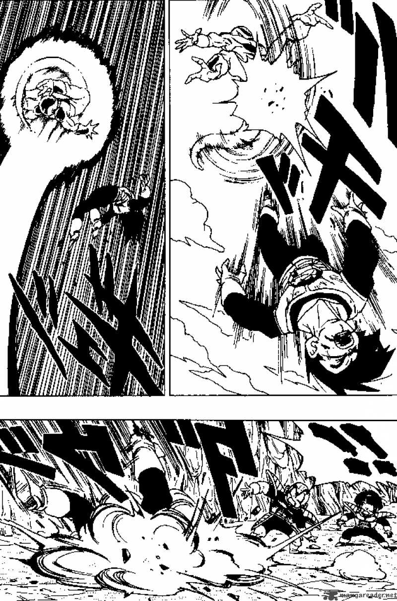 Dragon Ball 306 7