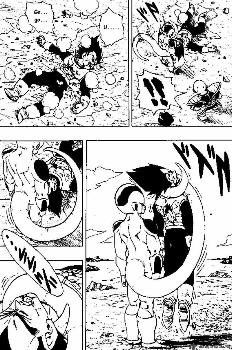 Dragon Ball 306 8