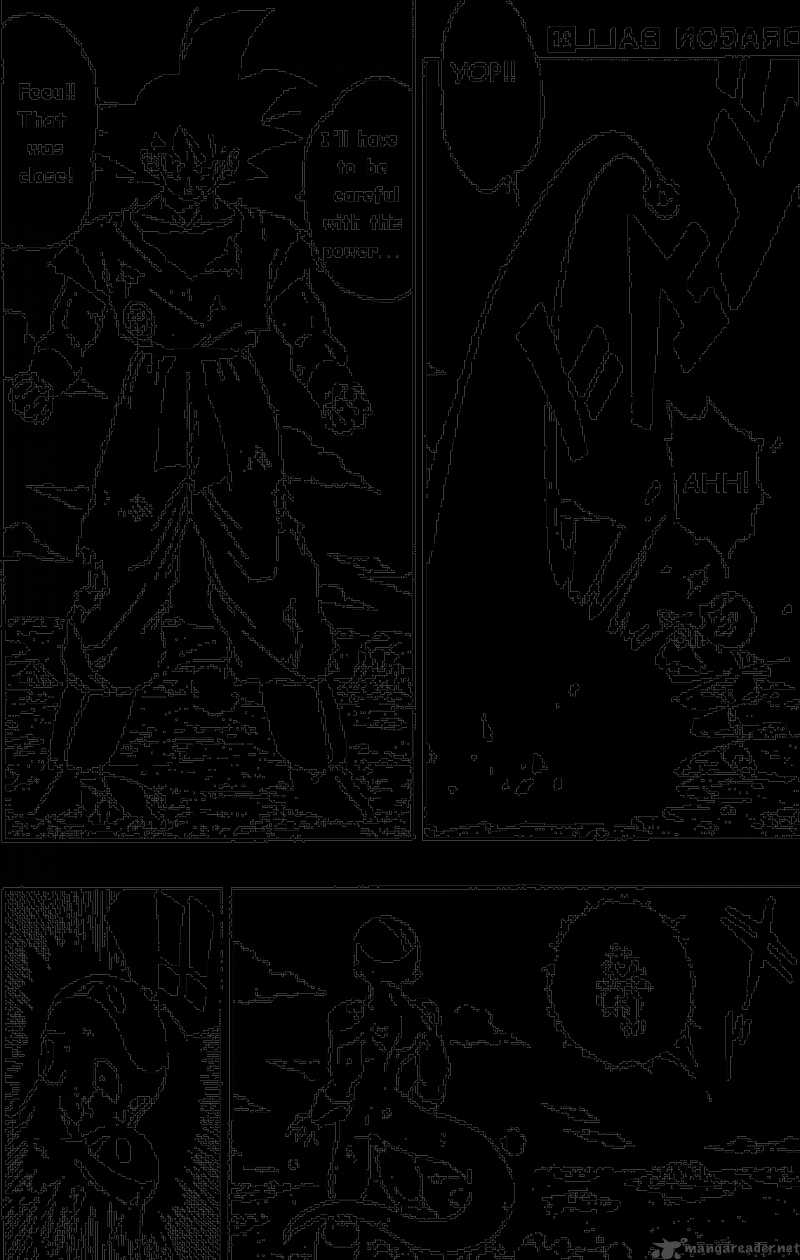 Dragon Ball 310 12