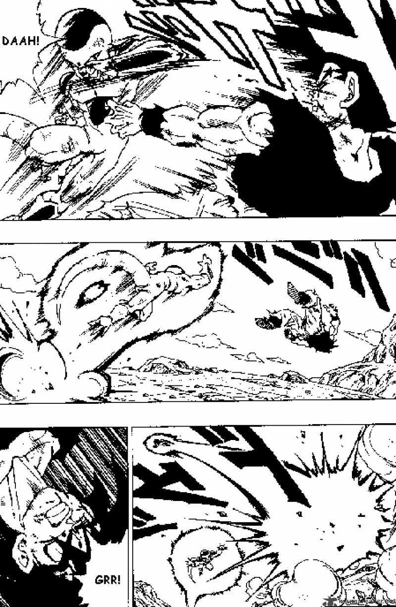 Dragon Ball 313 1