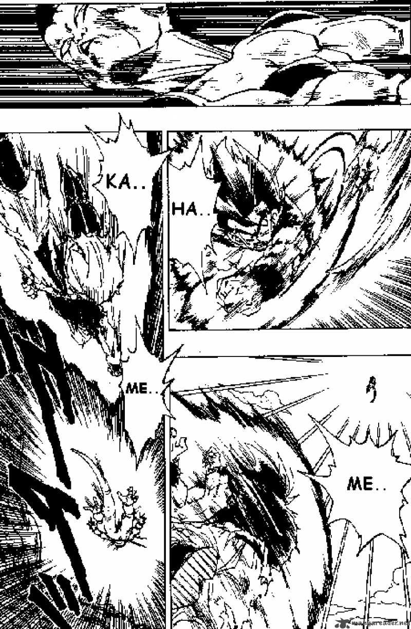 Dragon Ball 313 11