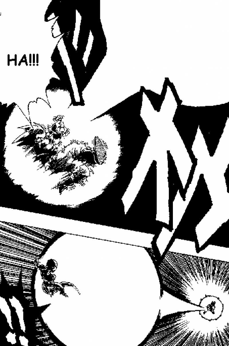 Dragon Ball 313 12