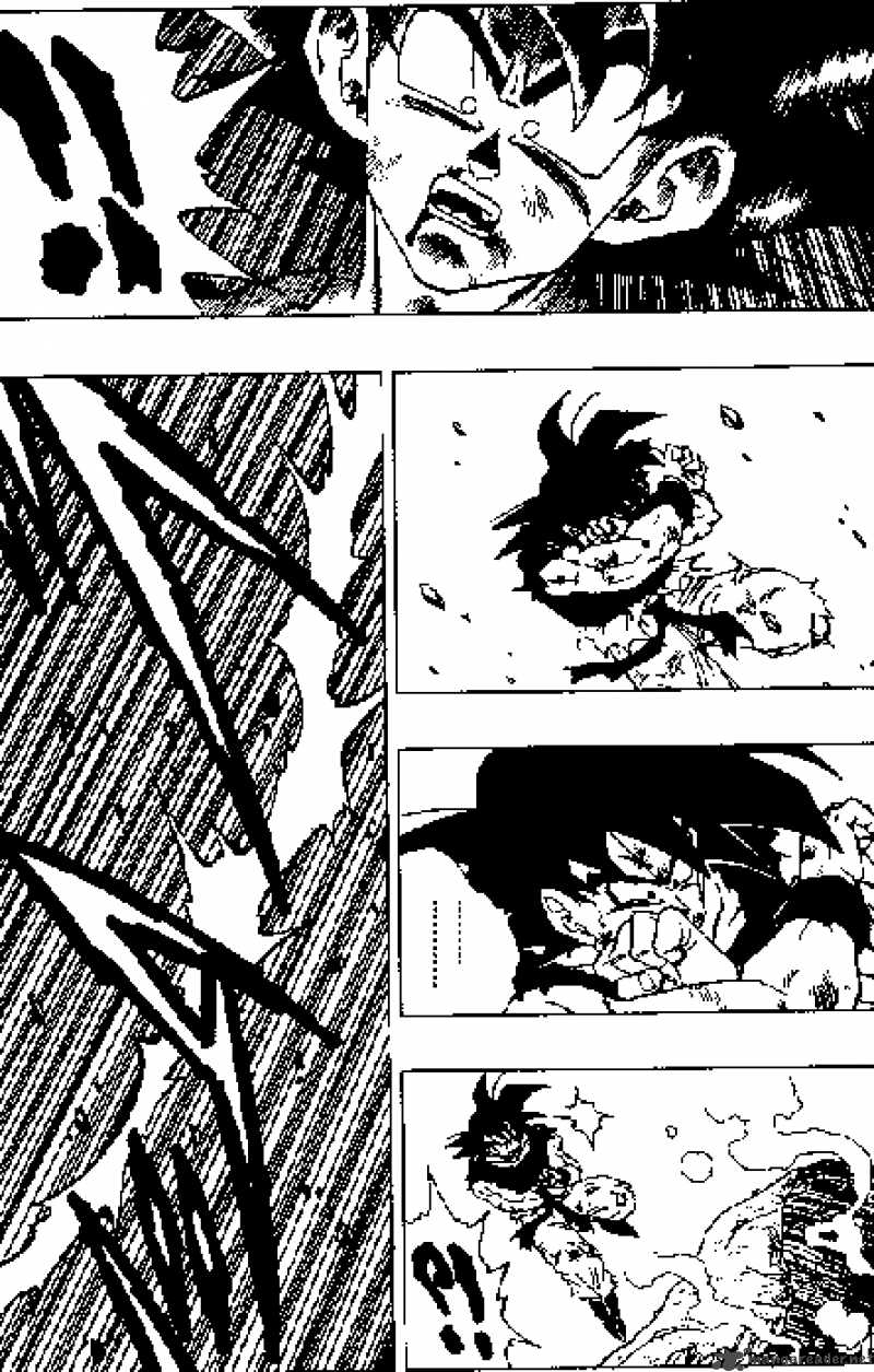 Dragon Ball 313 3