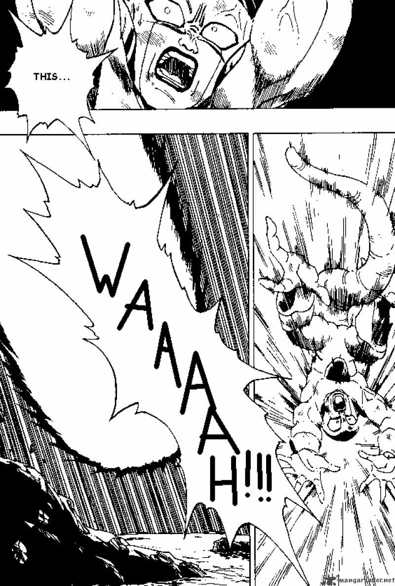 Dragon Ball 316 10