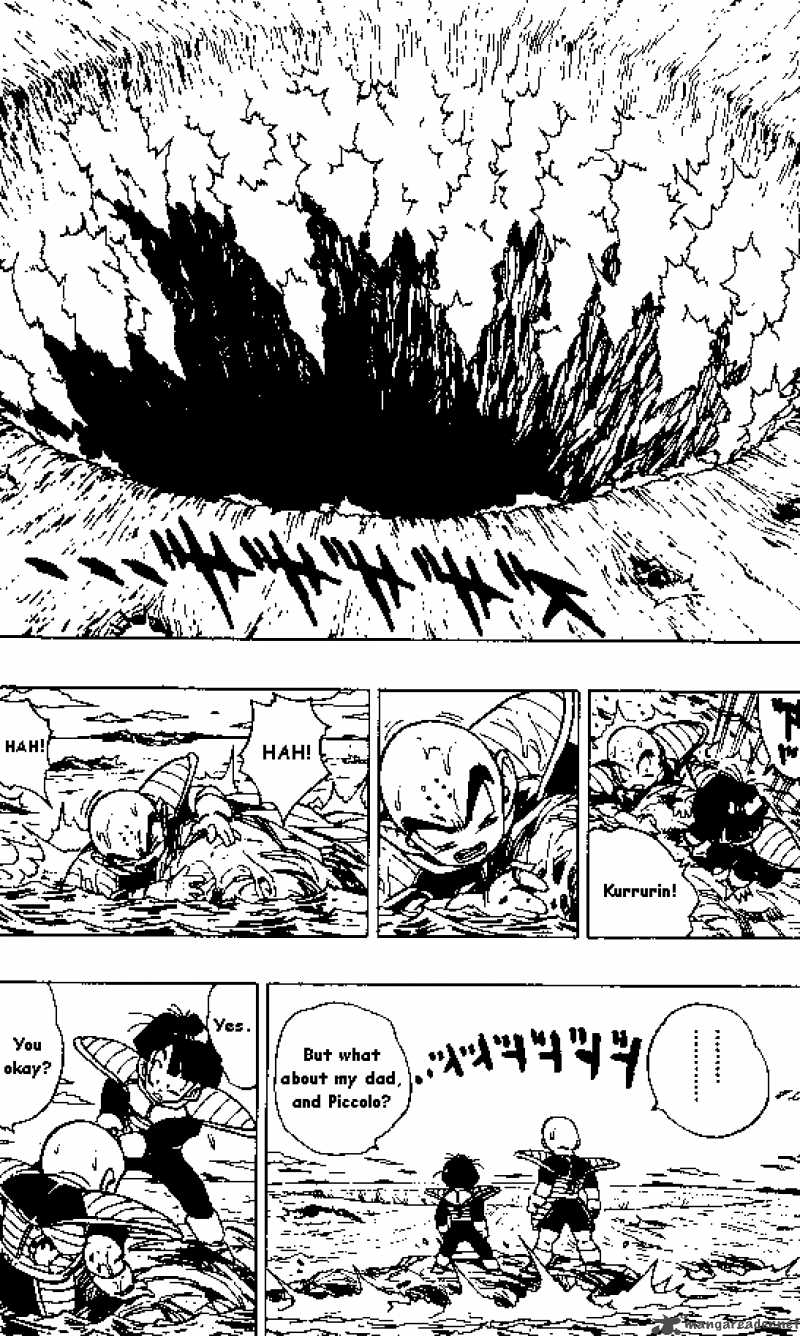 Dragon Ball 316 13