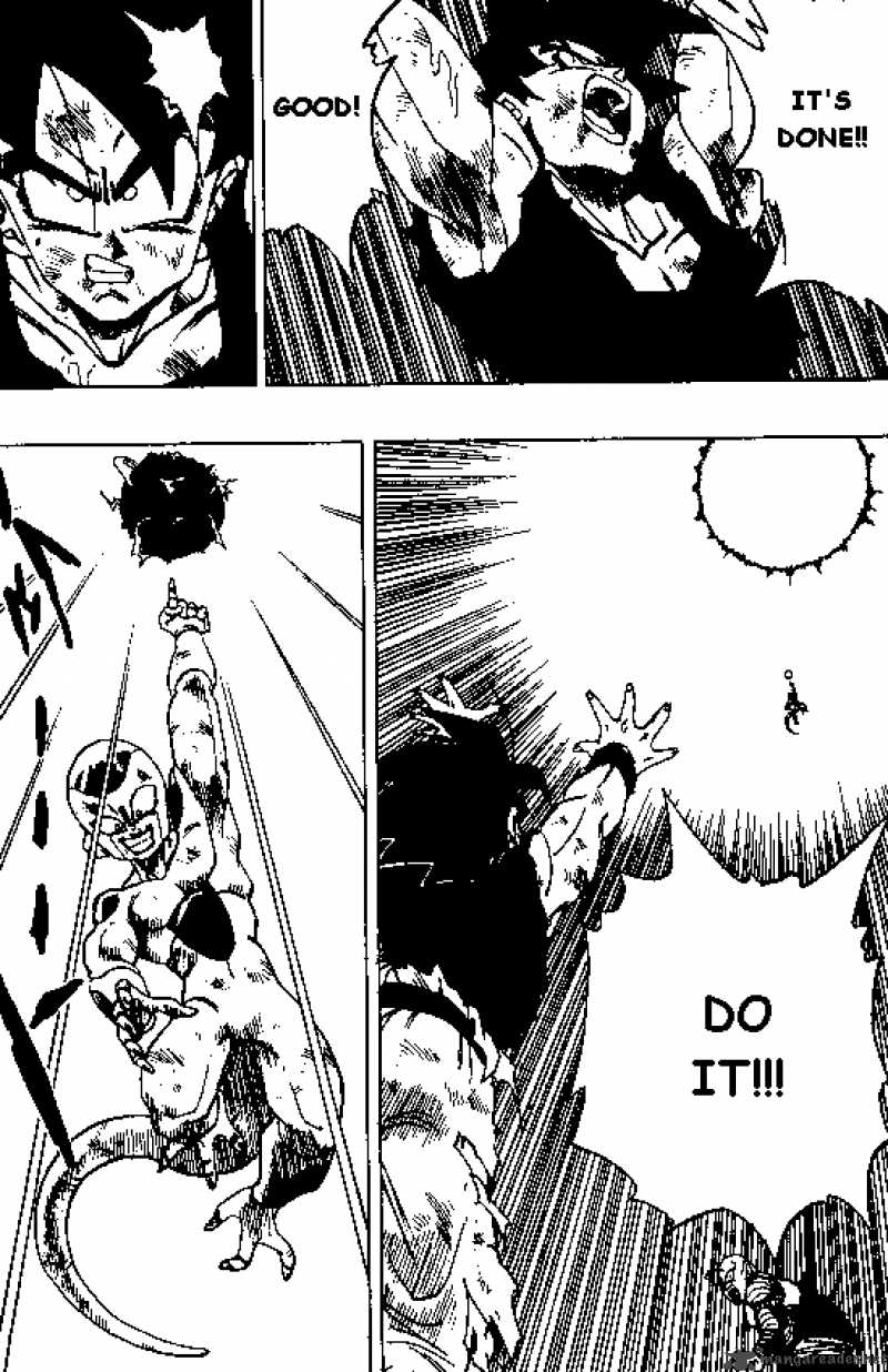 Dragon Ball 316 5