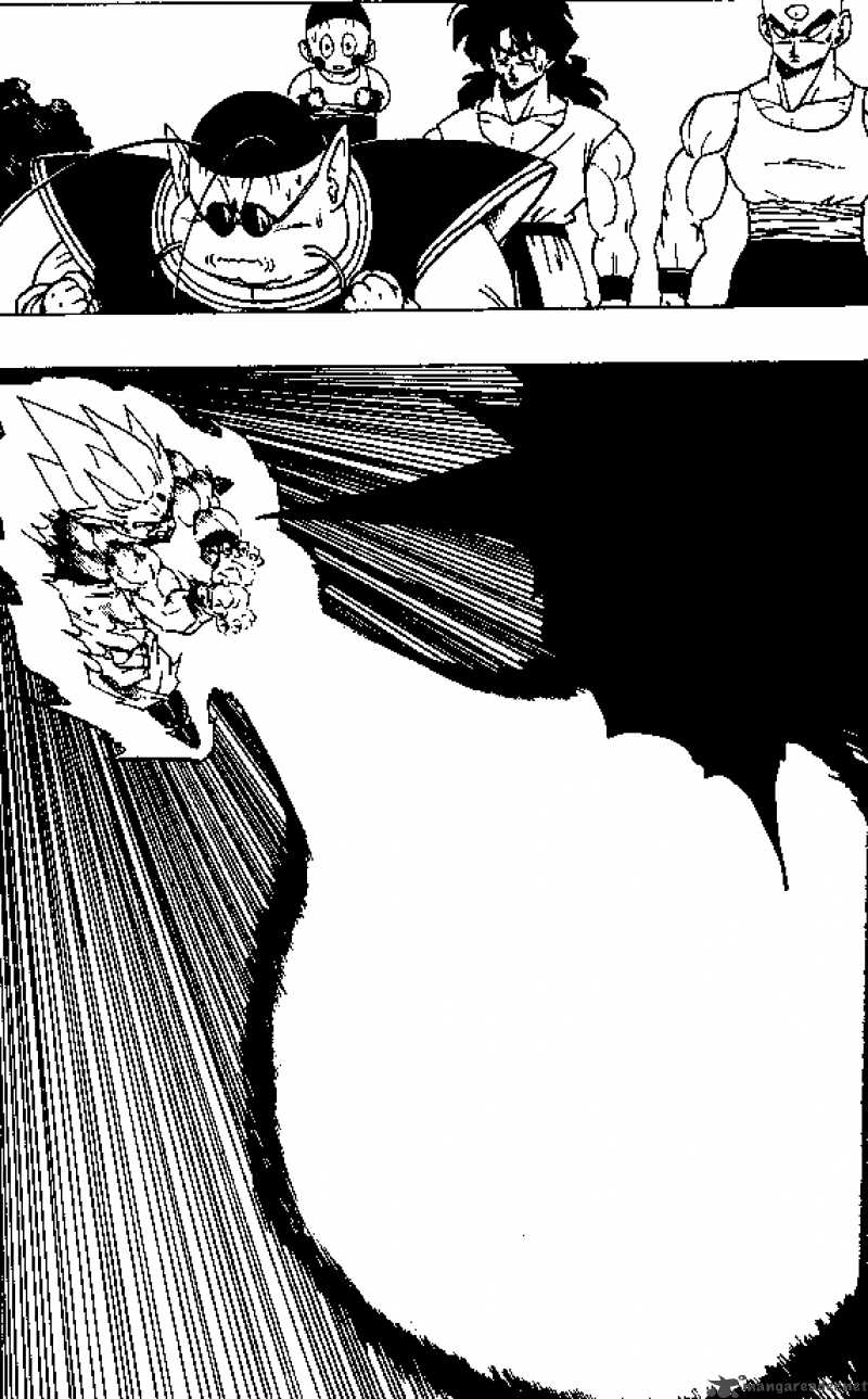 Dragon Ball 322 14