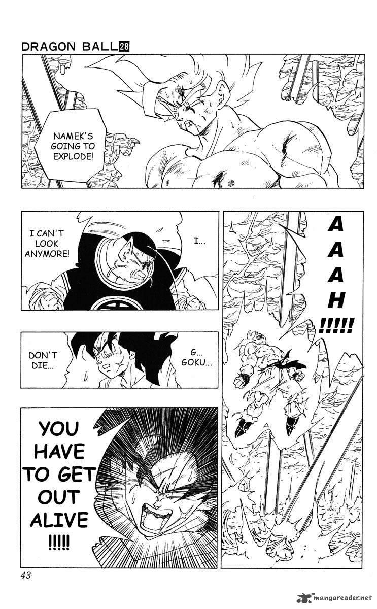 Dragon Ball 328 8