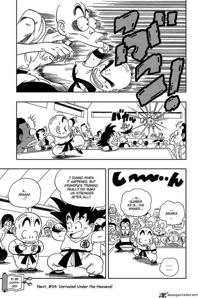 Dragon Ball 33 15