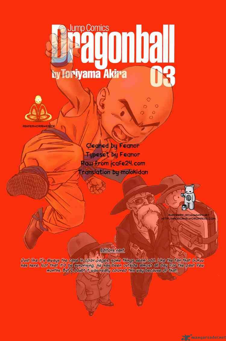Dragon Ball 33 16