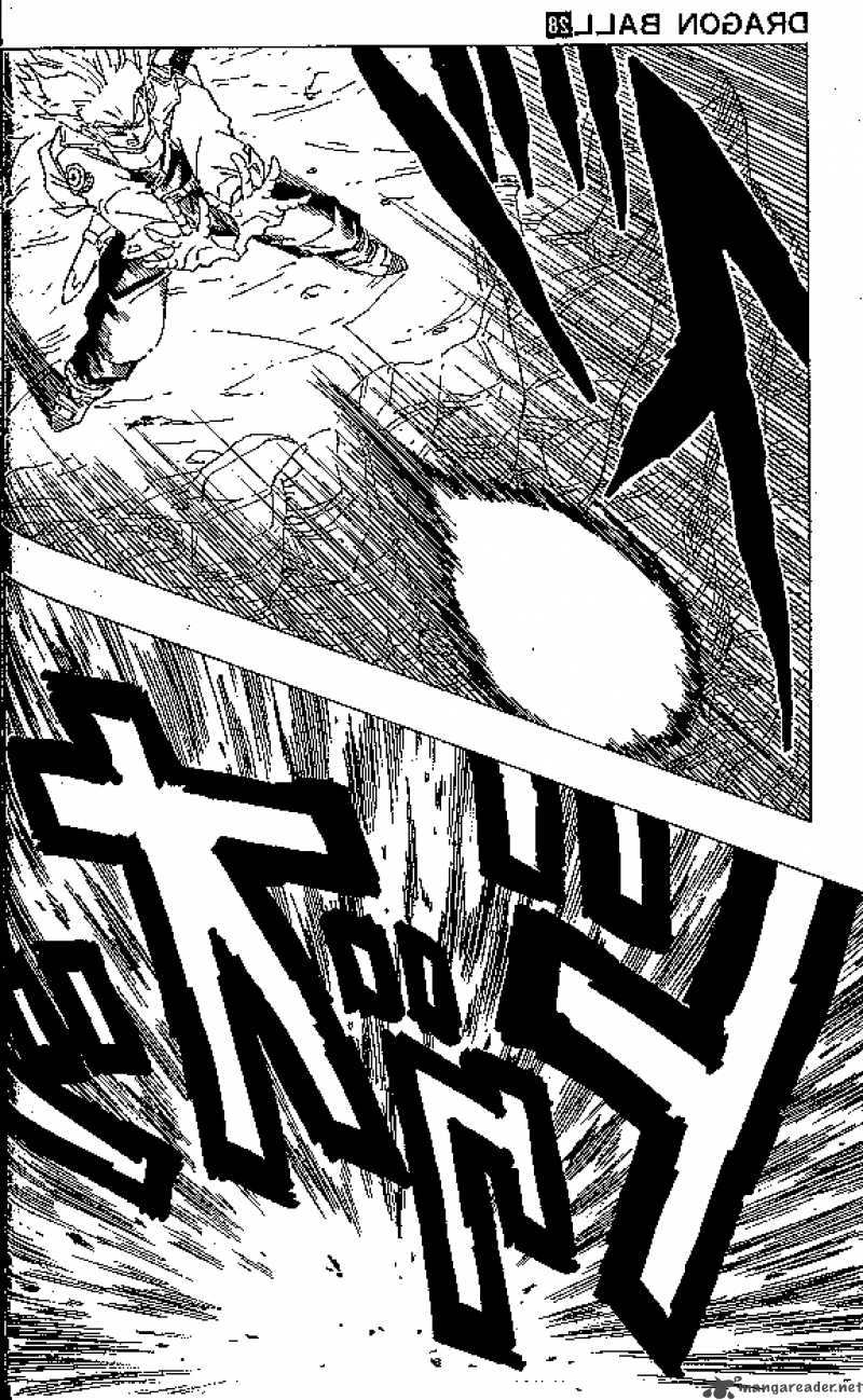 Dragon Ball 331 16