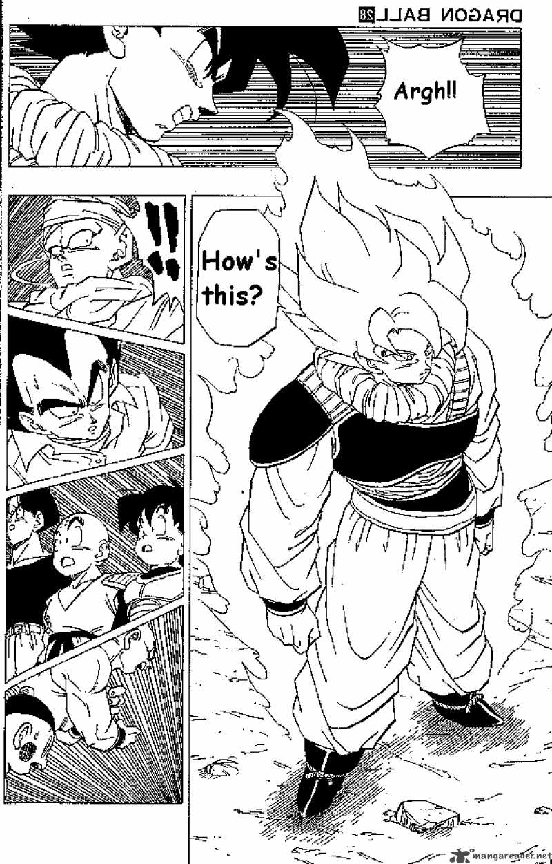 Dragon Ball 334 6