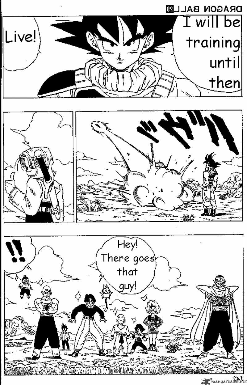 Dragon Ball 335 10