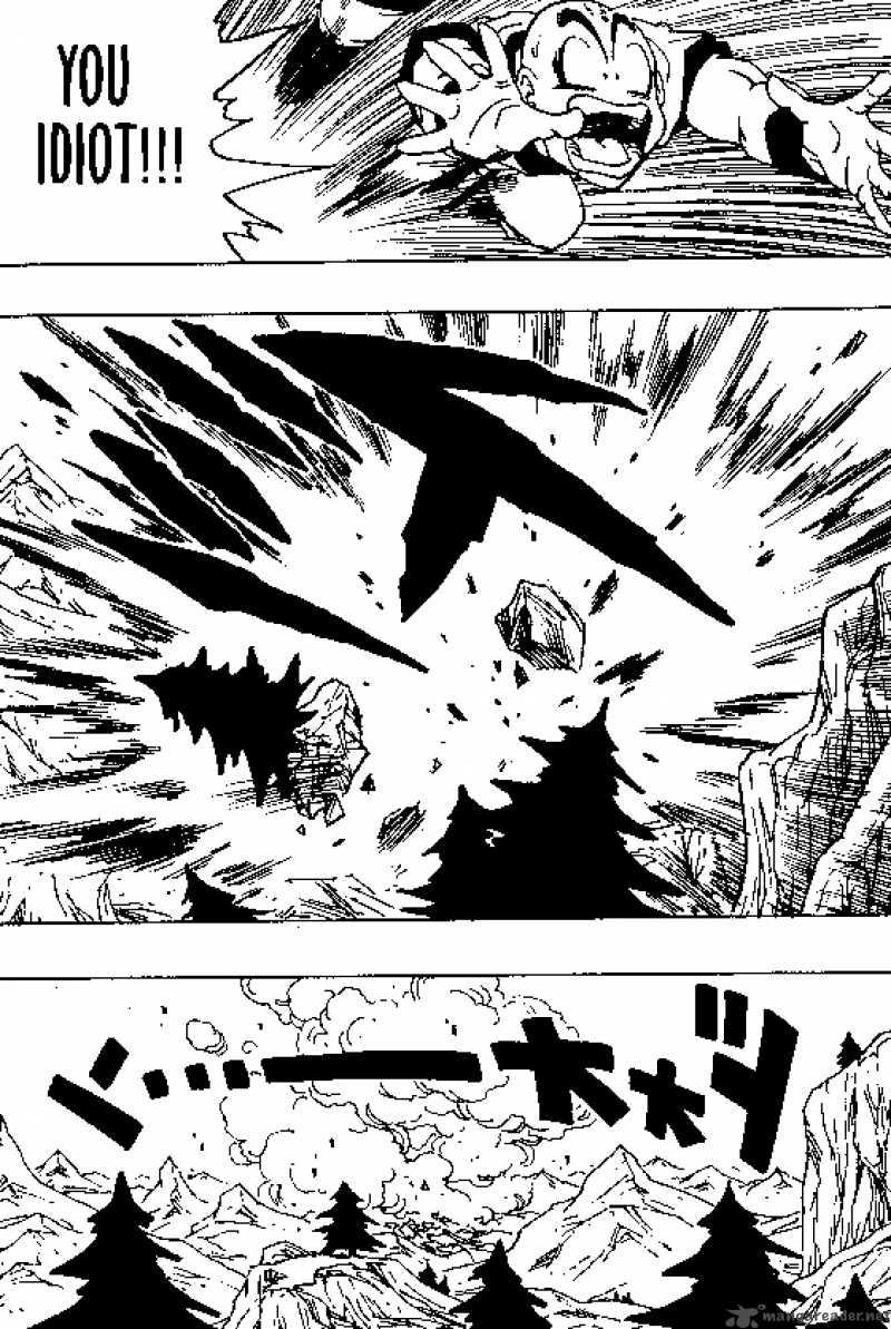 Dragon Ball 350 13