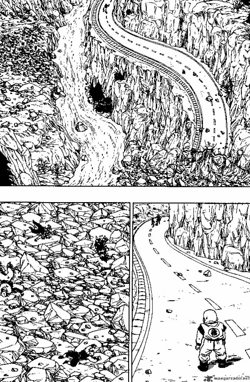 Dragon Ball 355 1