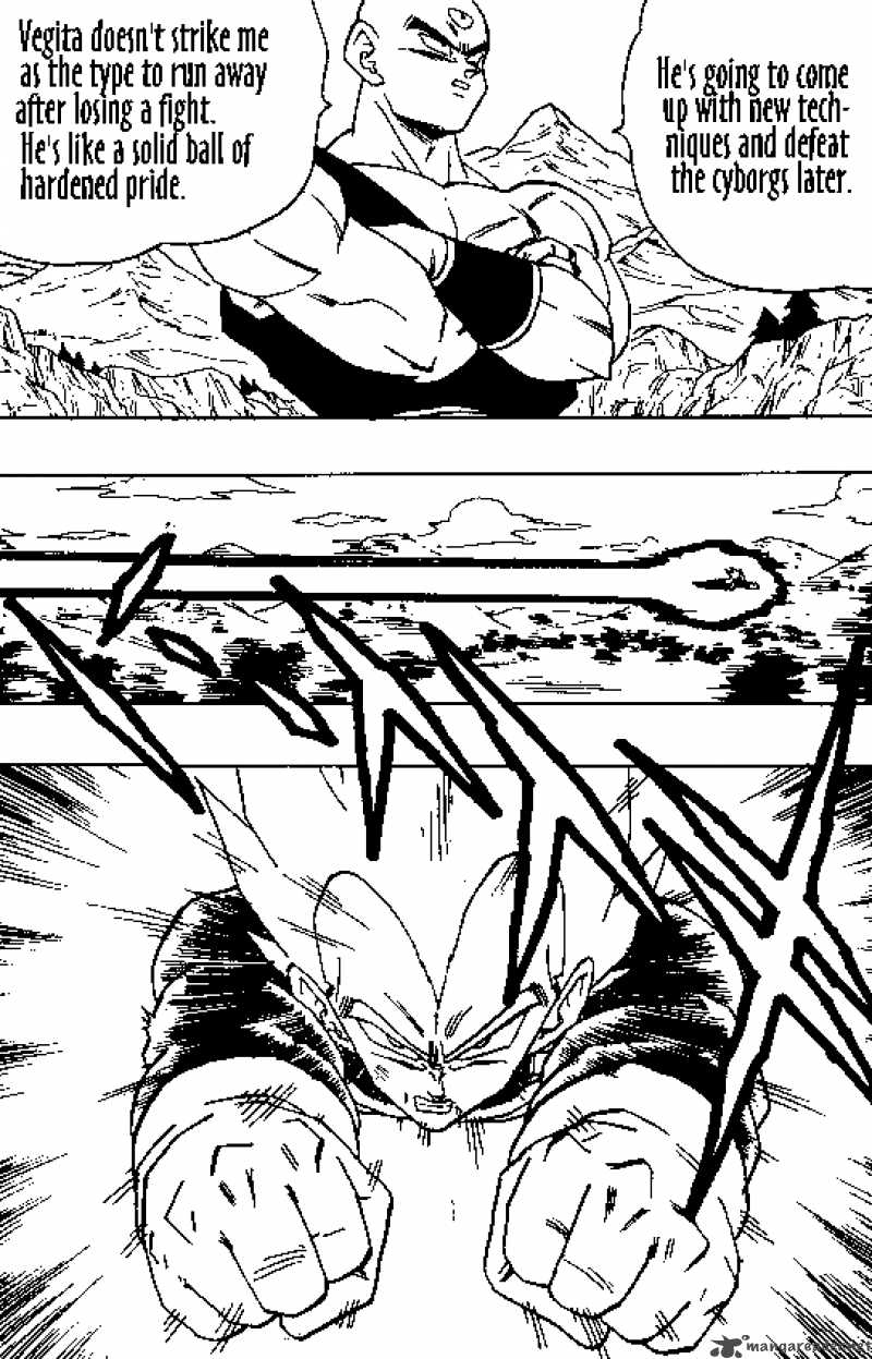 Dragon Ball 355 13