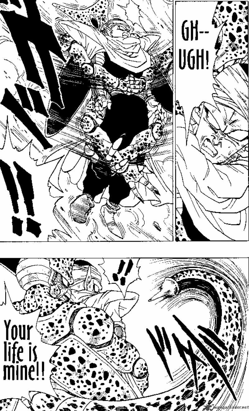 Dragon Ball 363 4