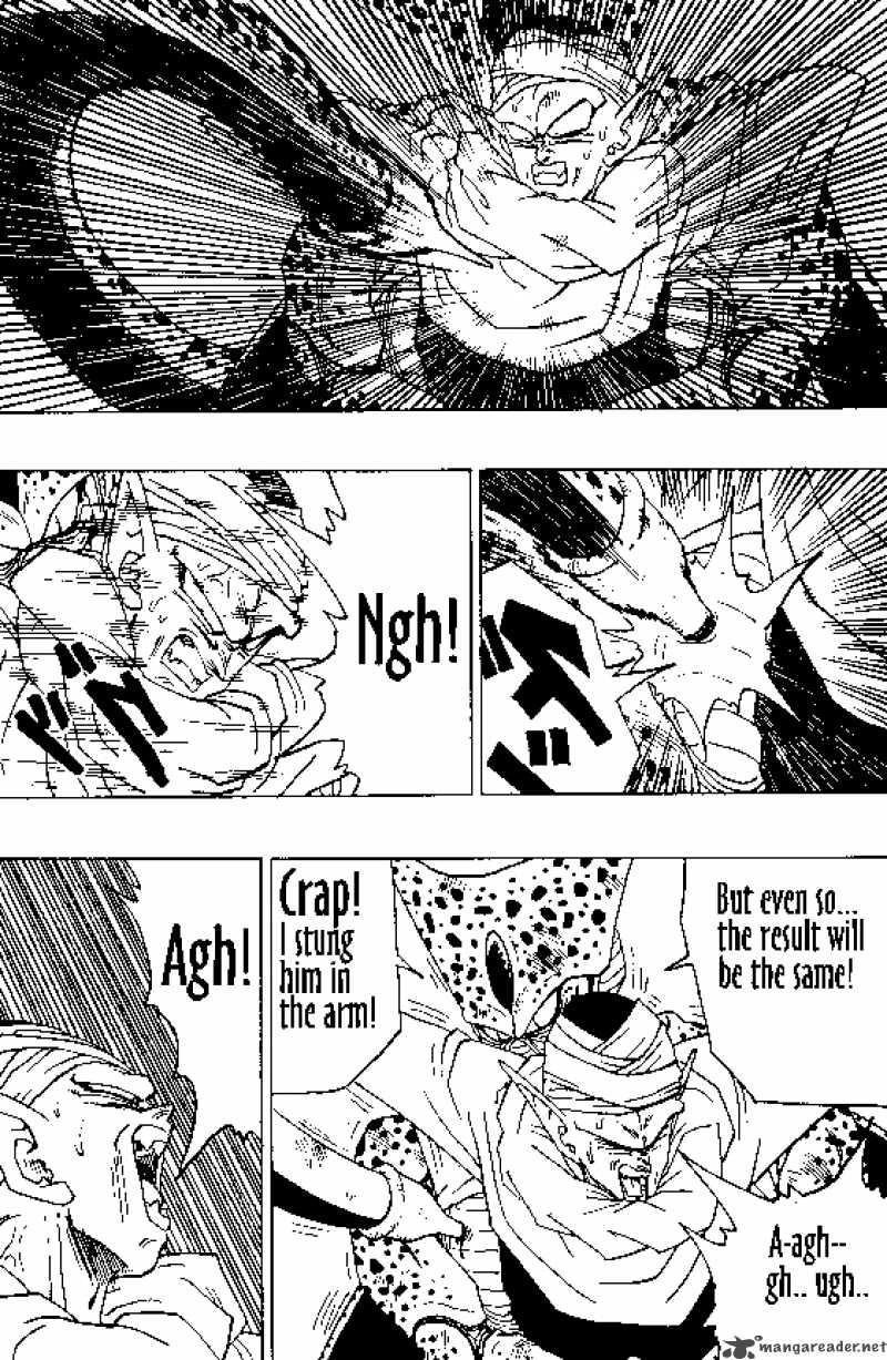 Dragon Ball 363 5