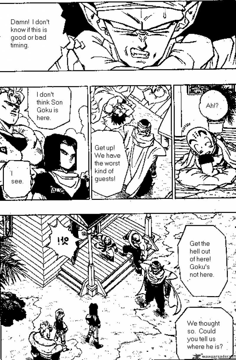 Dragon Ball 366 13