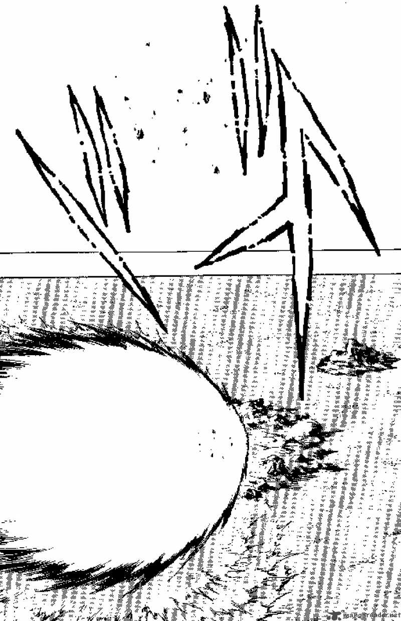 Dragon Ball 370 8
