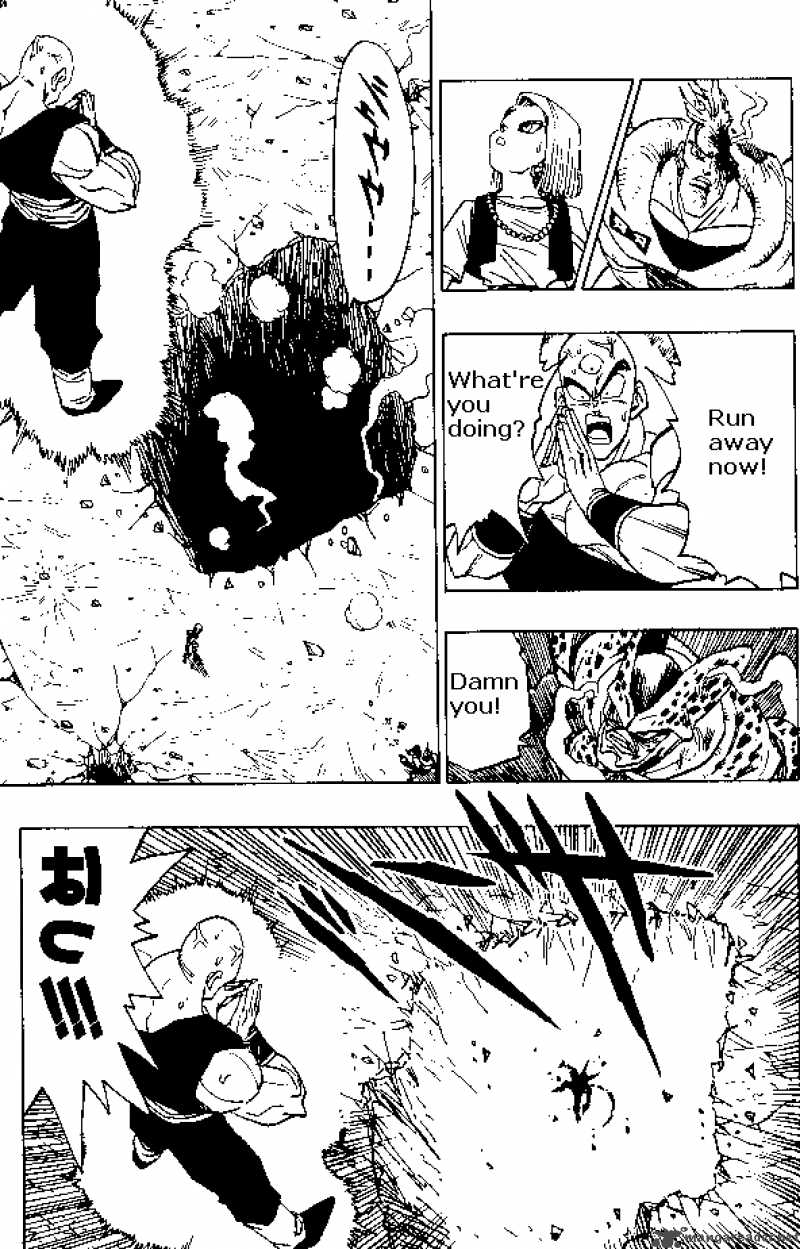 Dragon Ball 373 13
