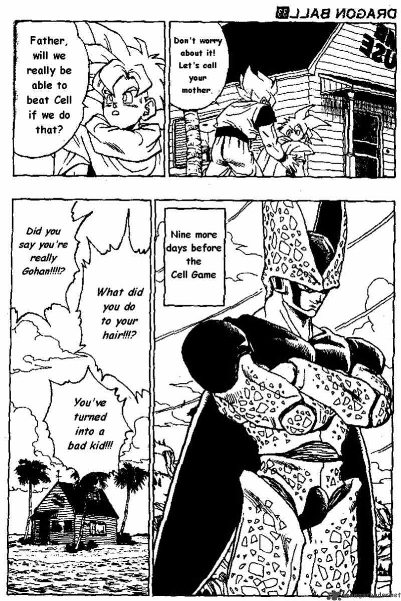 Dragon Ball 391 14