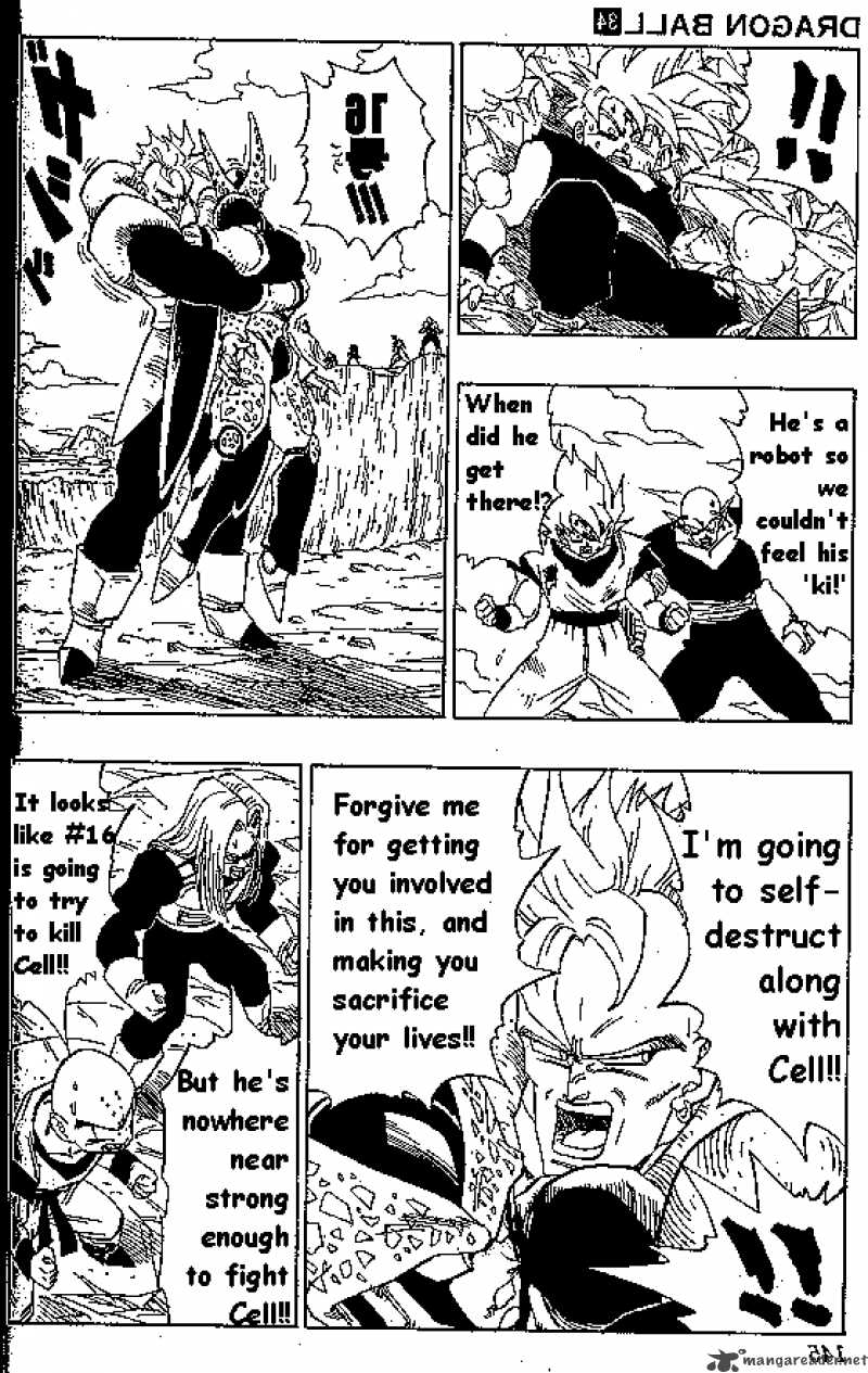 Dragon Ball 407 6