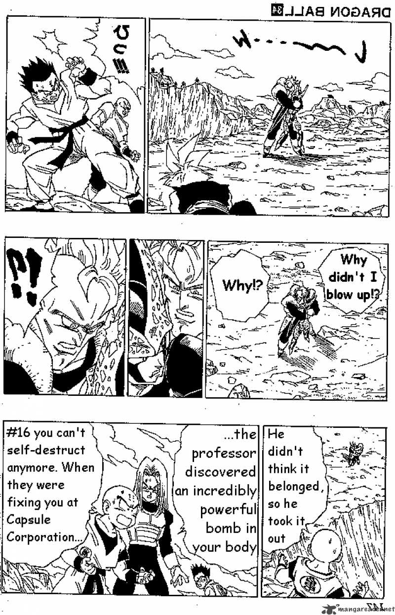 Dragon Ball 407 8