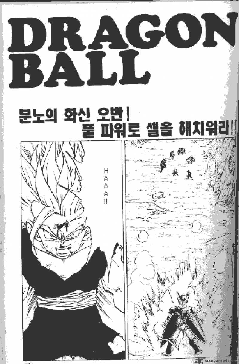 Dragon Ball 415 1