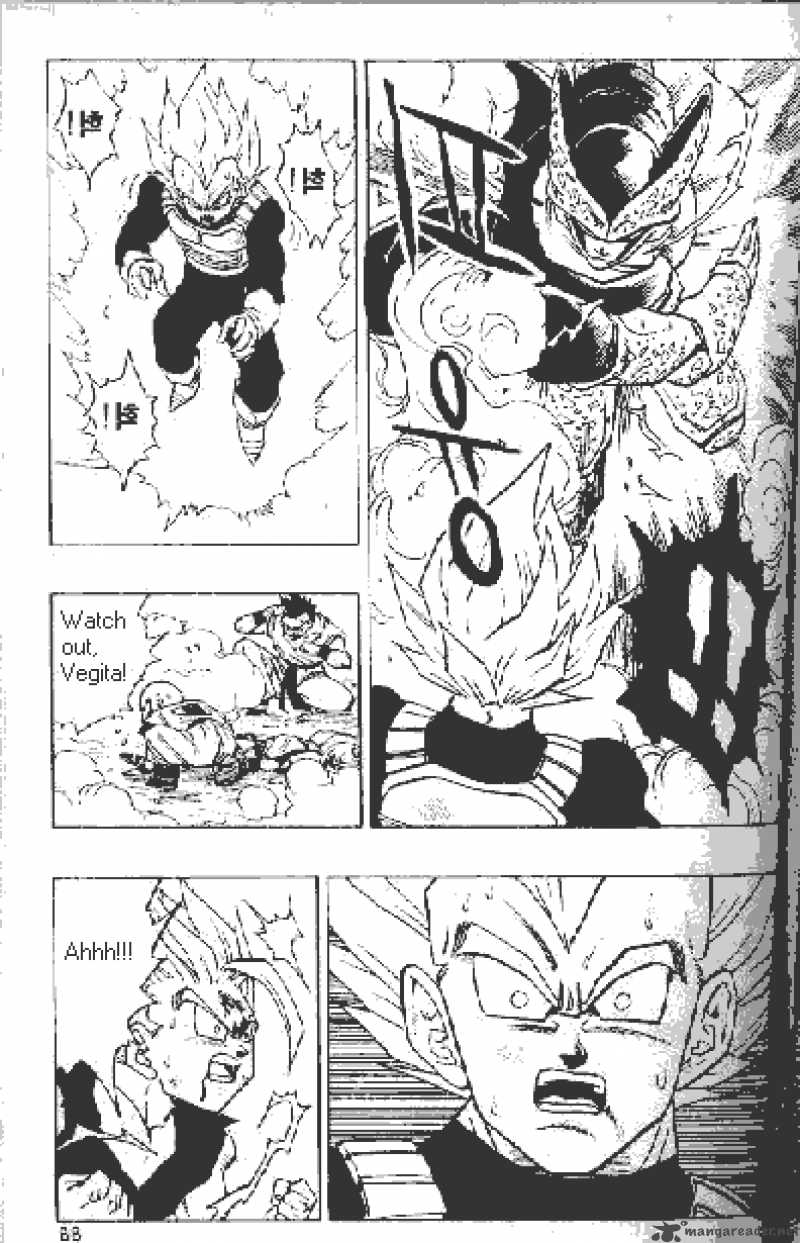 Dragon Ball 415 8