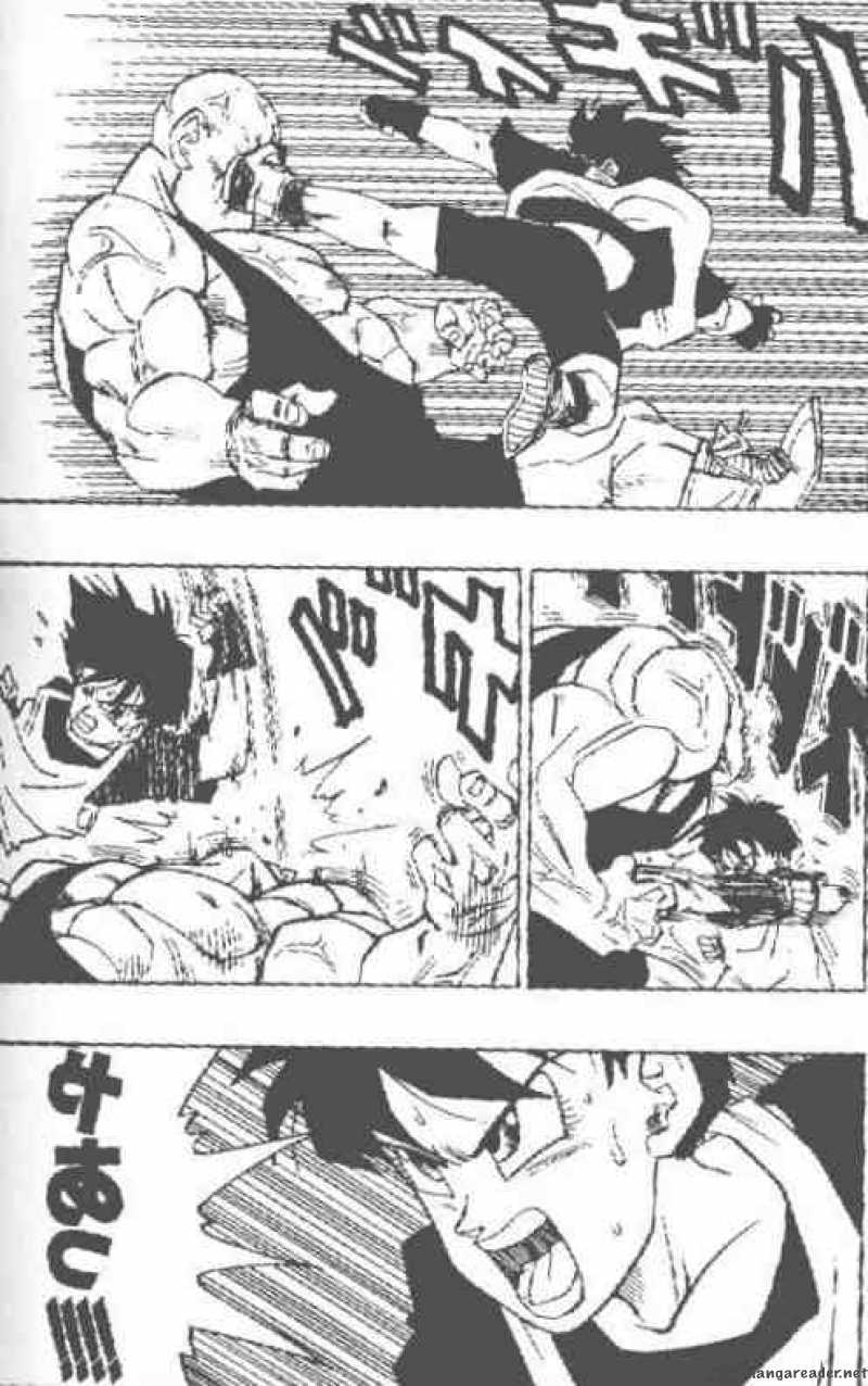 Dragon Ball 441 11