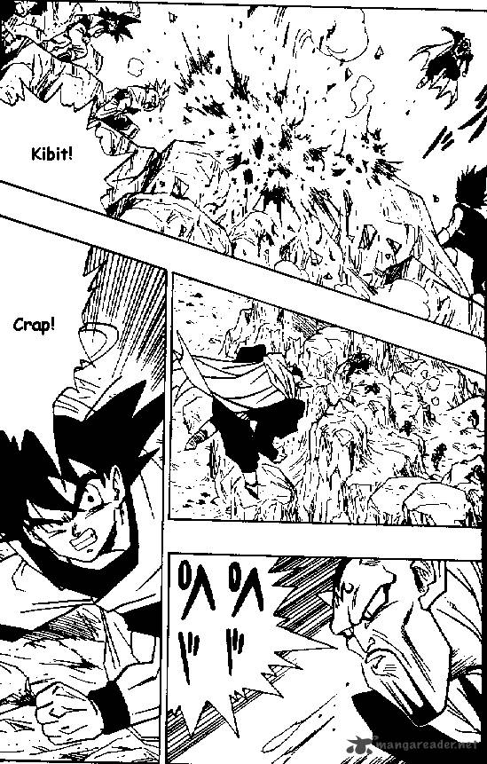 Dragon Ball 449 3