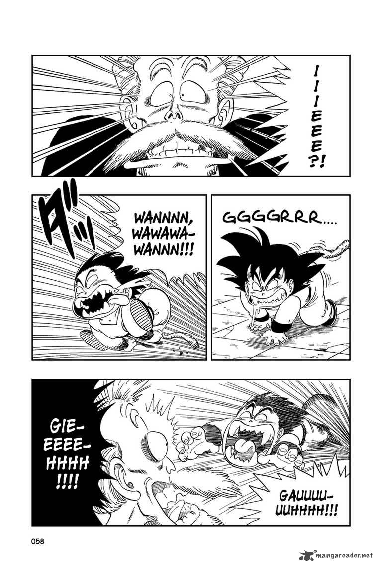 Dragon Ball 48 13