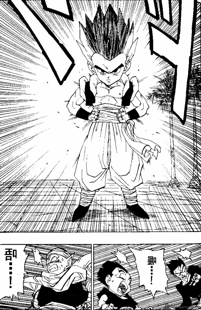 Dragon Ball 481 10