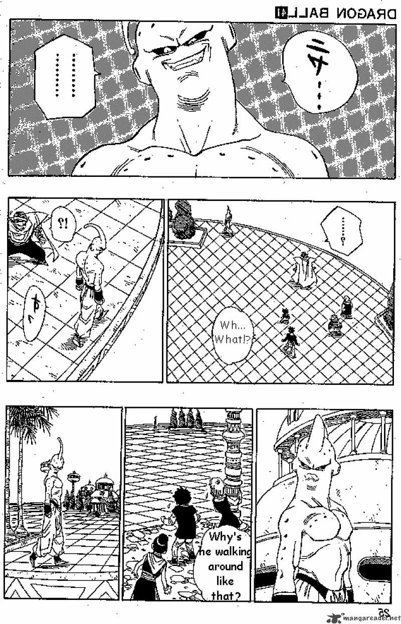 Dragon Ball 488 5